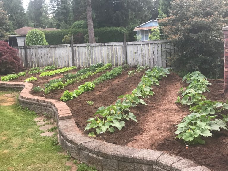 My First Garden